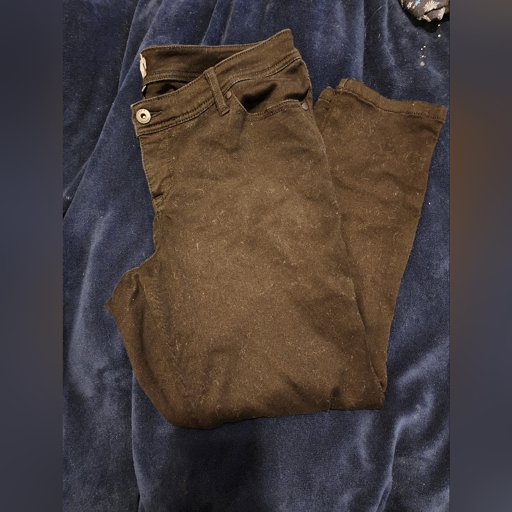 Torrid Luxe Skinny Midrise Pants